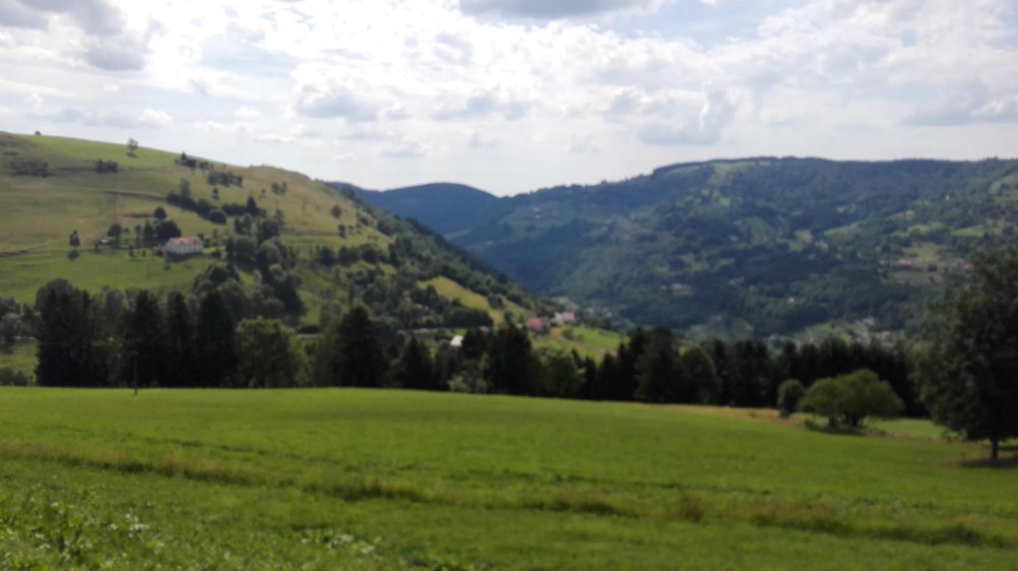La Bressaude - Vacances-En-Vosges - Menage Compris La Bresse Exterior foto