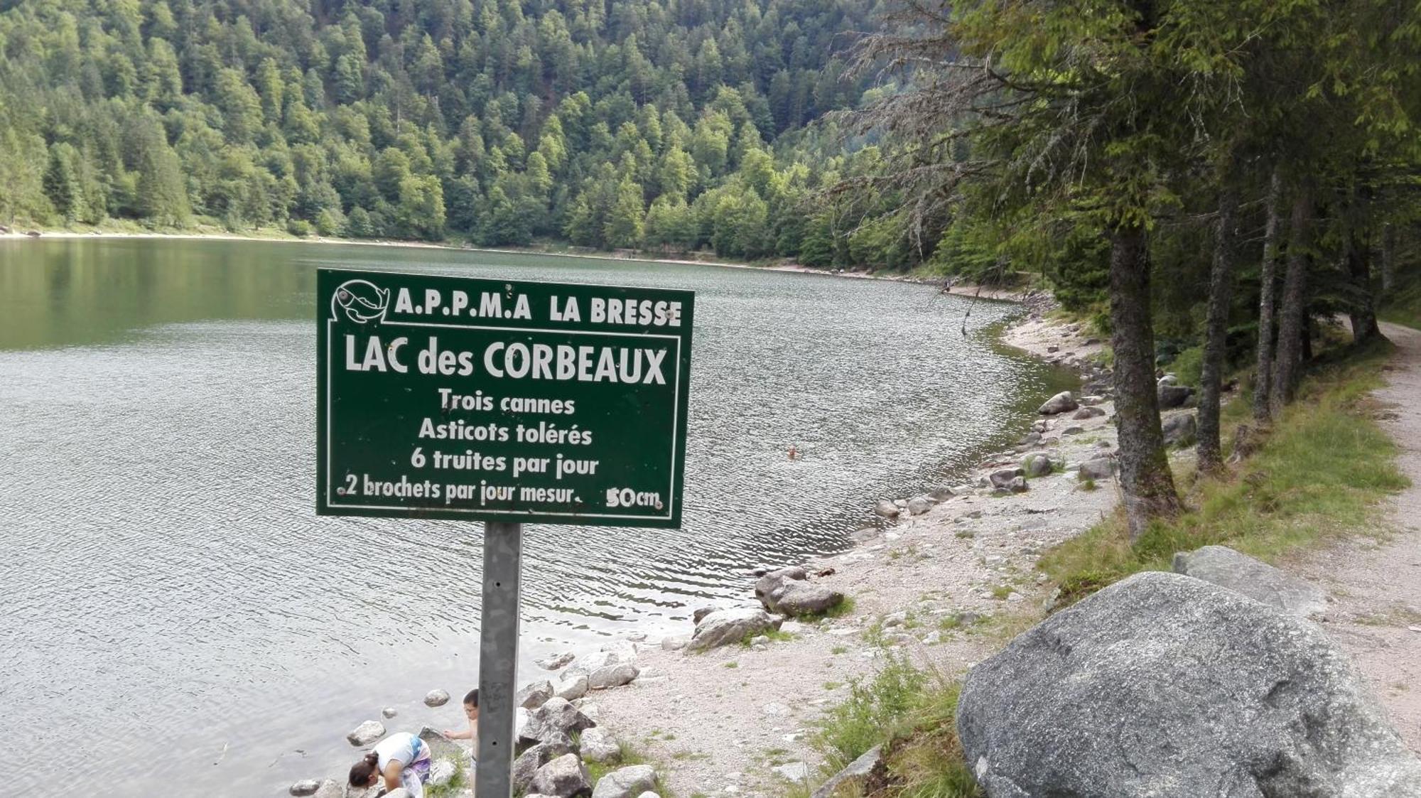 La Bressaude - Vacances-En-Vosges - Menage Compris La Bresse Exterior foto